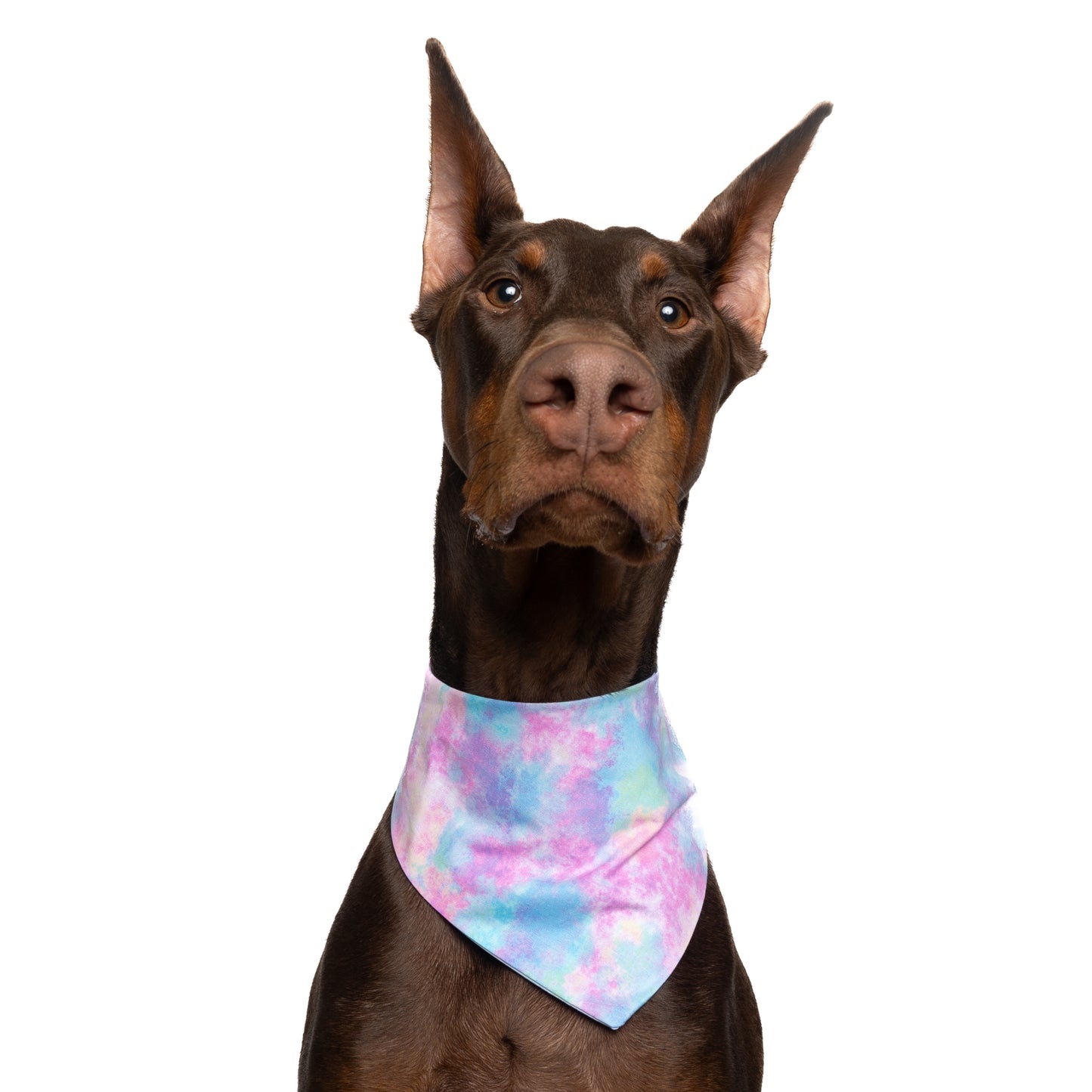 COTTON CANDY SKY- CLASSIC DOG BANDANA