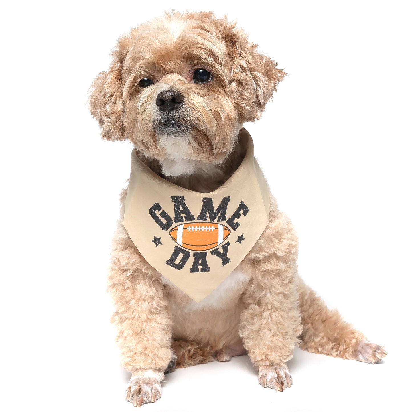 GAME DAY - CLASSIC DOG BANDANA
