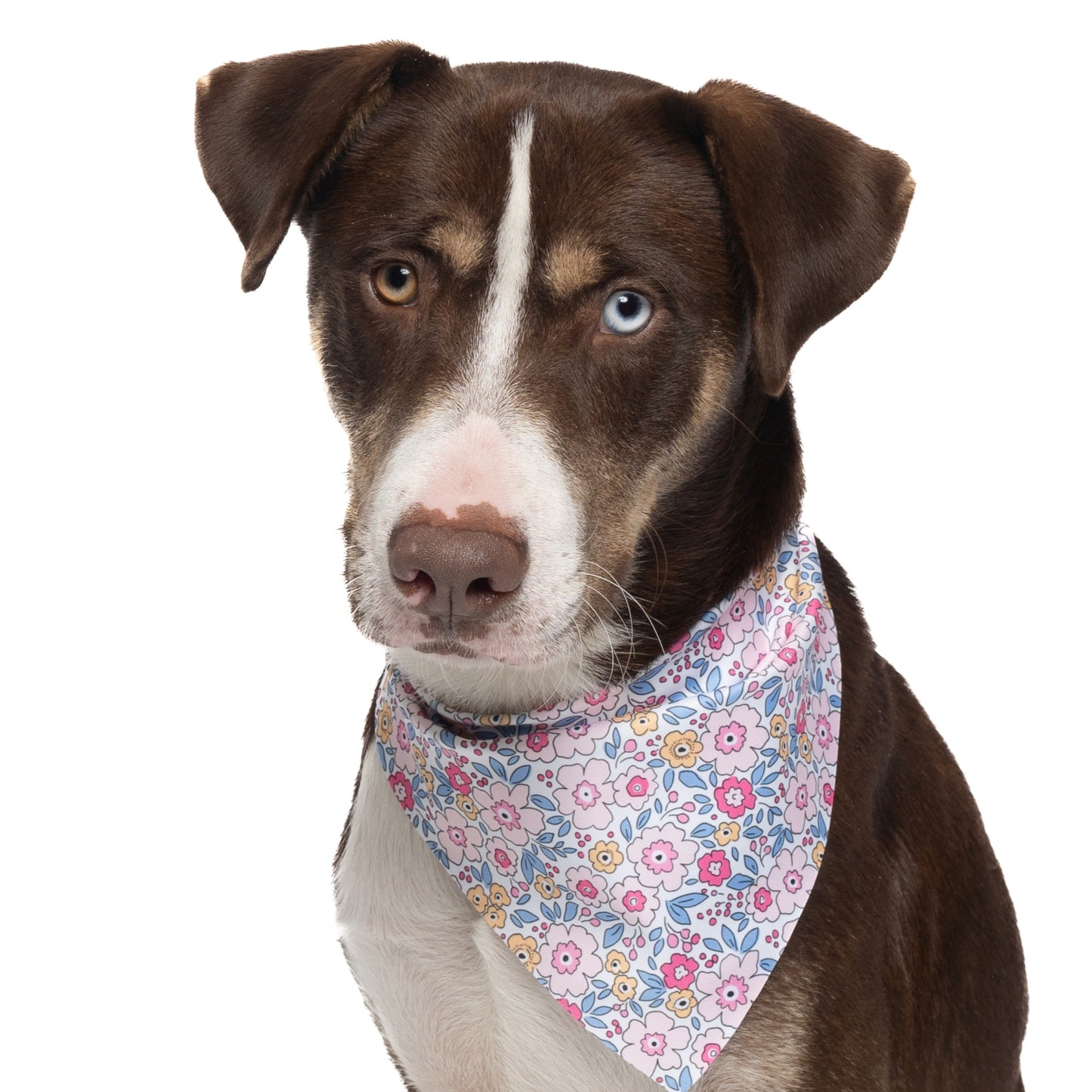 PINK & LAVENDER FLORAL - TRIANGLE DOG BANDANA BY DAPPER DEXTER