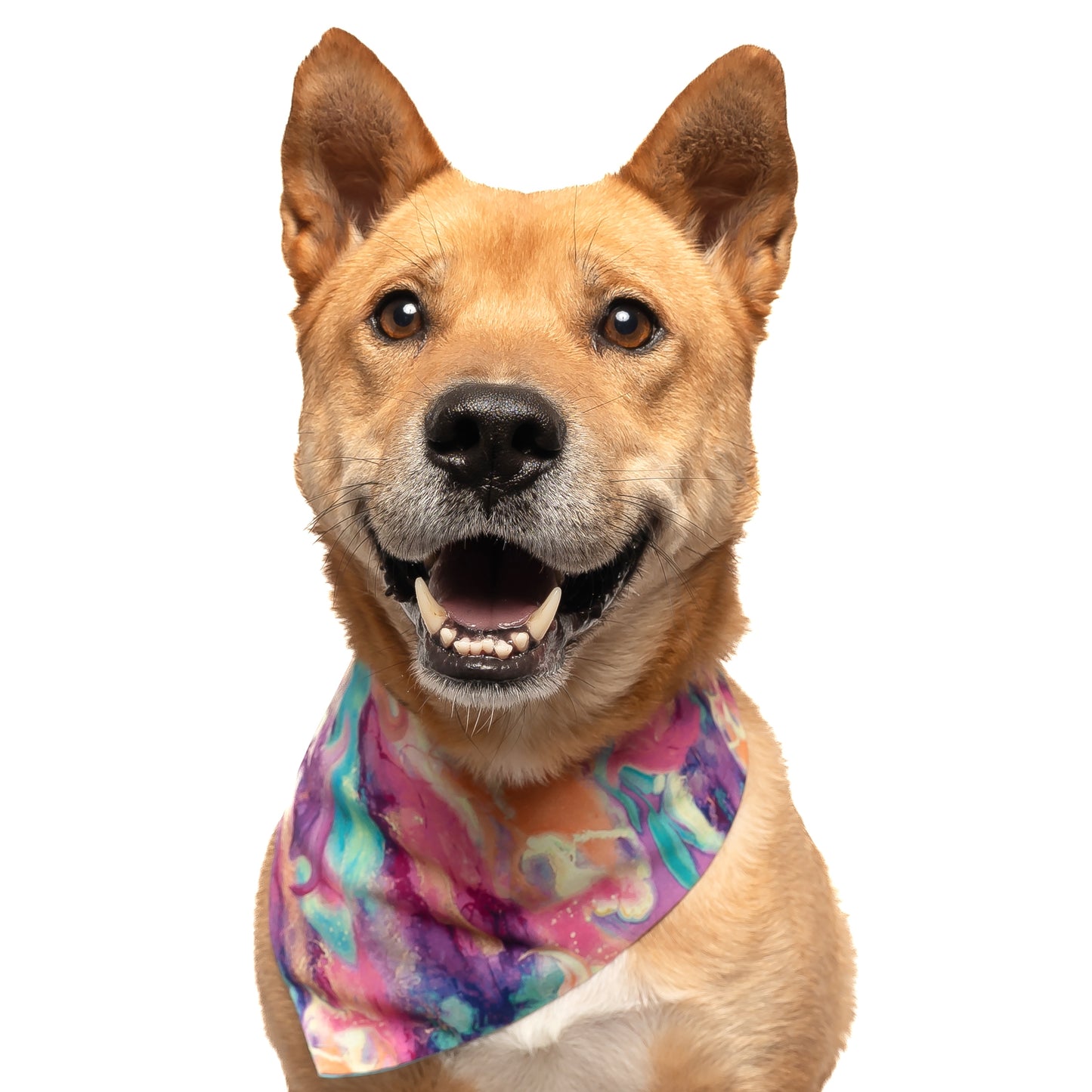 RAINBOW OIL COLOR - CLASSIC DOG BANDANA