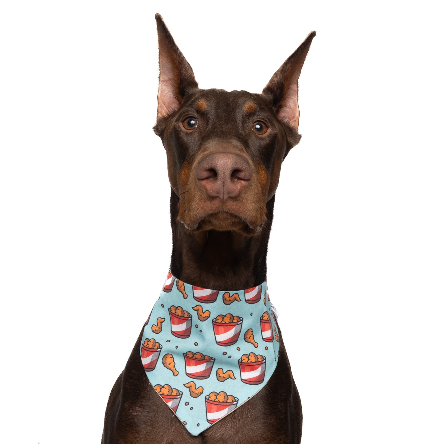 FRIED CHICKEN - CLASSIC DOG BANDANA