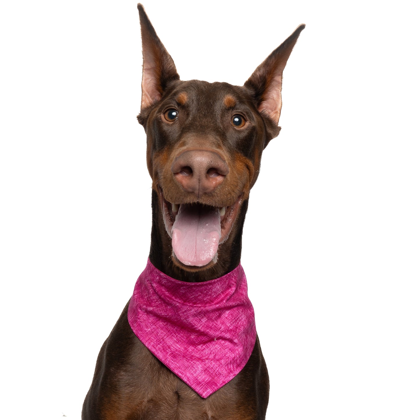 MAGENTA - CLASSIC DOG BANDANA