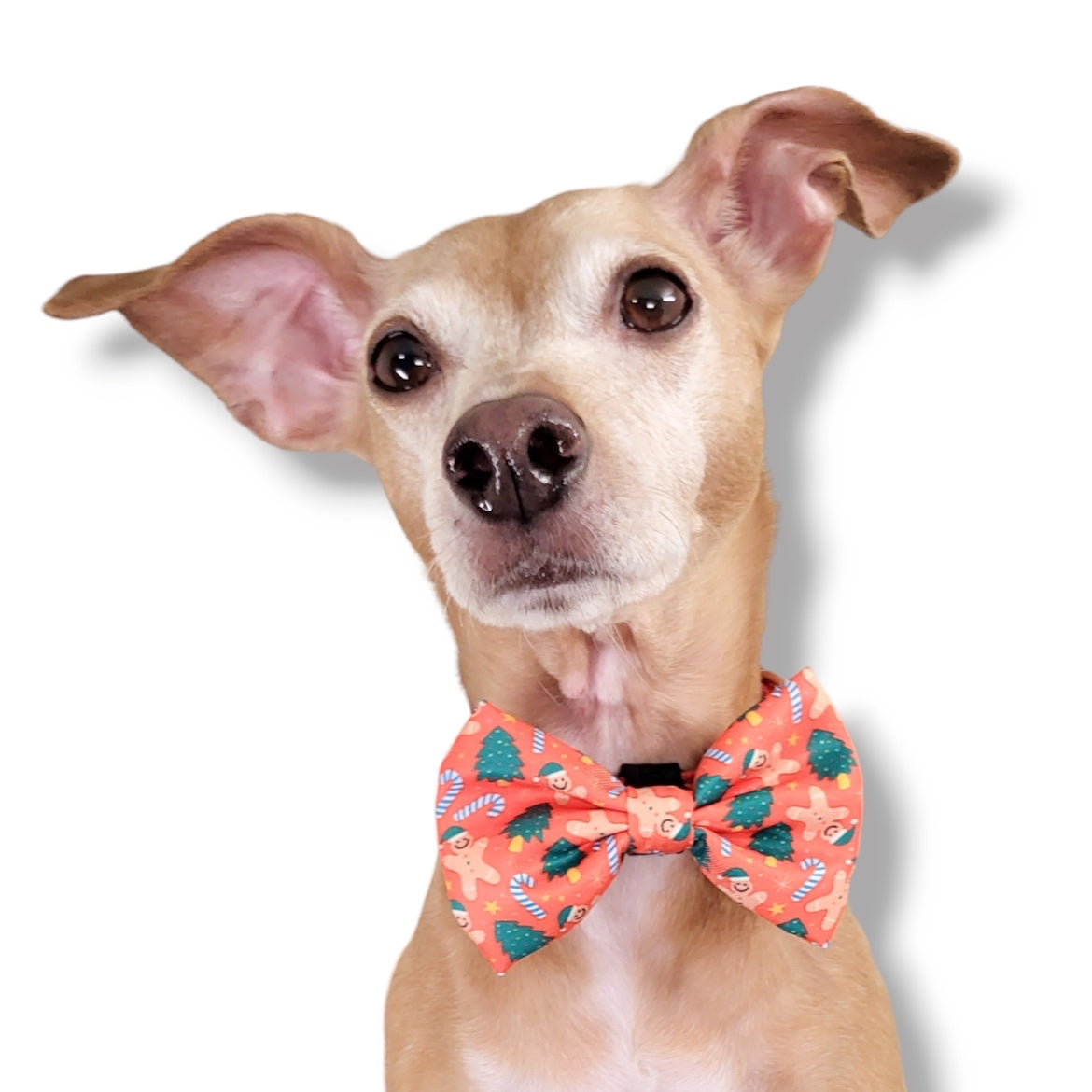 GINGERBREAD - BOW TIE