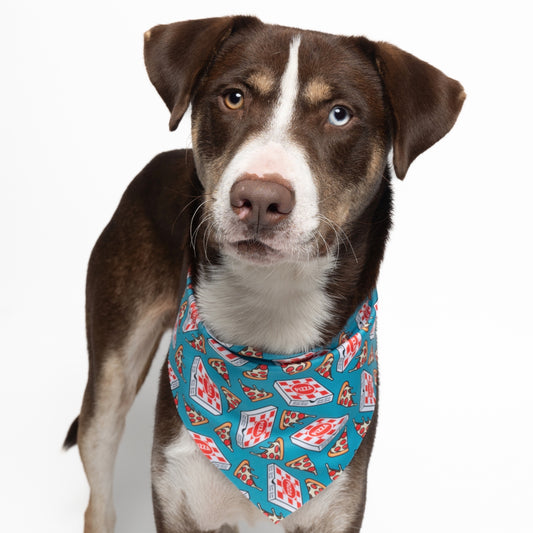 PIZZA NIGHT - TRIANGLE DOG BANDANA BY DAPPER DEXTER