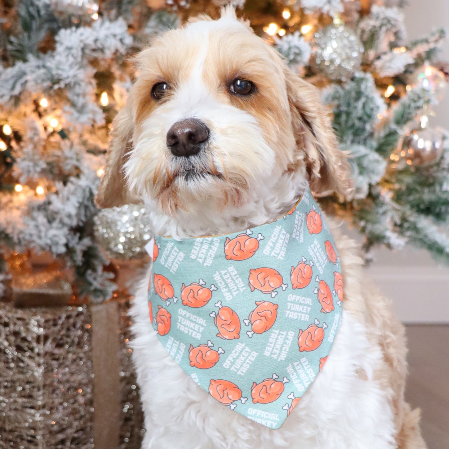OFFICIAL TURKEY TASTER - CLASSIC DOG BANDANA
