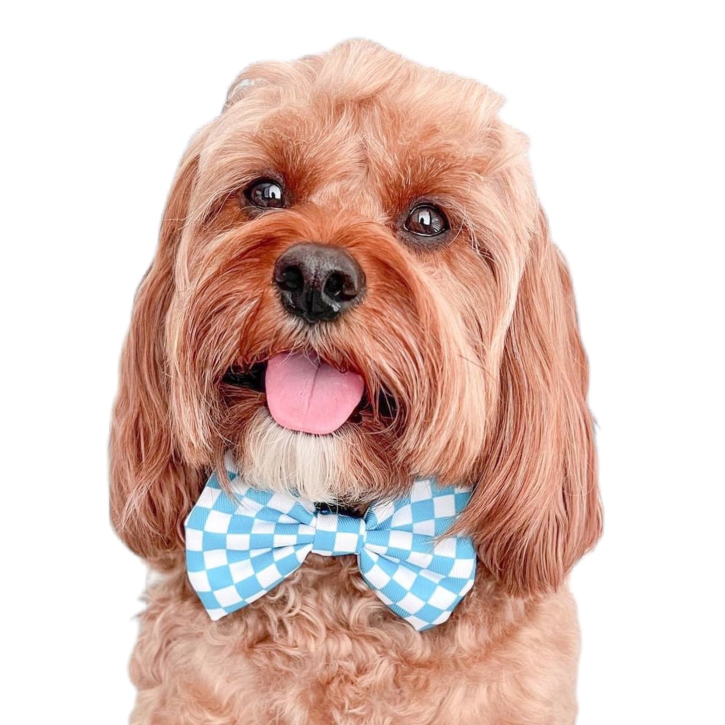 AQUA AND WHITE CHECKERED - BOW TIE