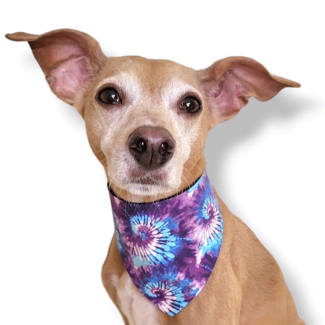 ROYAL BLUE + PURPLE TIE DYE- CLASSIC DOG BANDANA BY DAPPER DEXTER