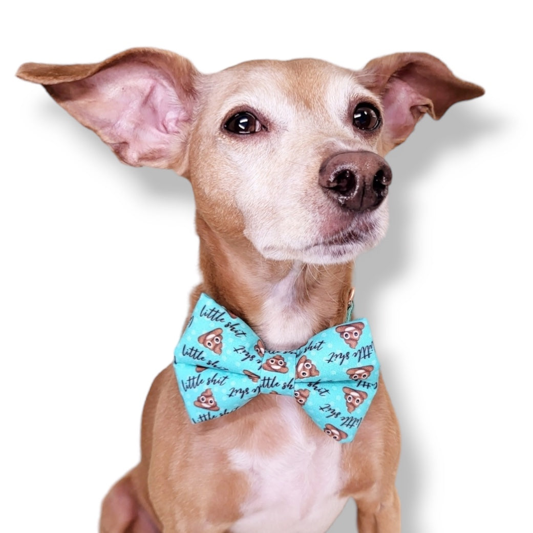 TACO - DOG COLLAR – Dapper Dexter