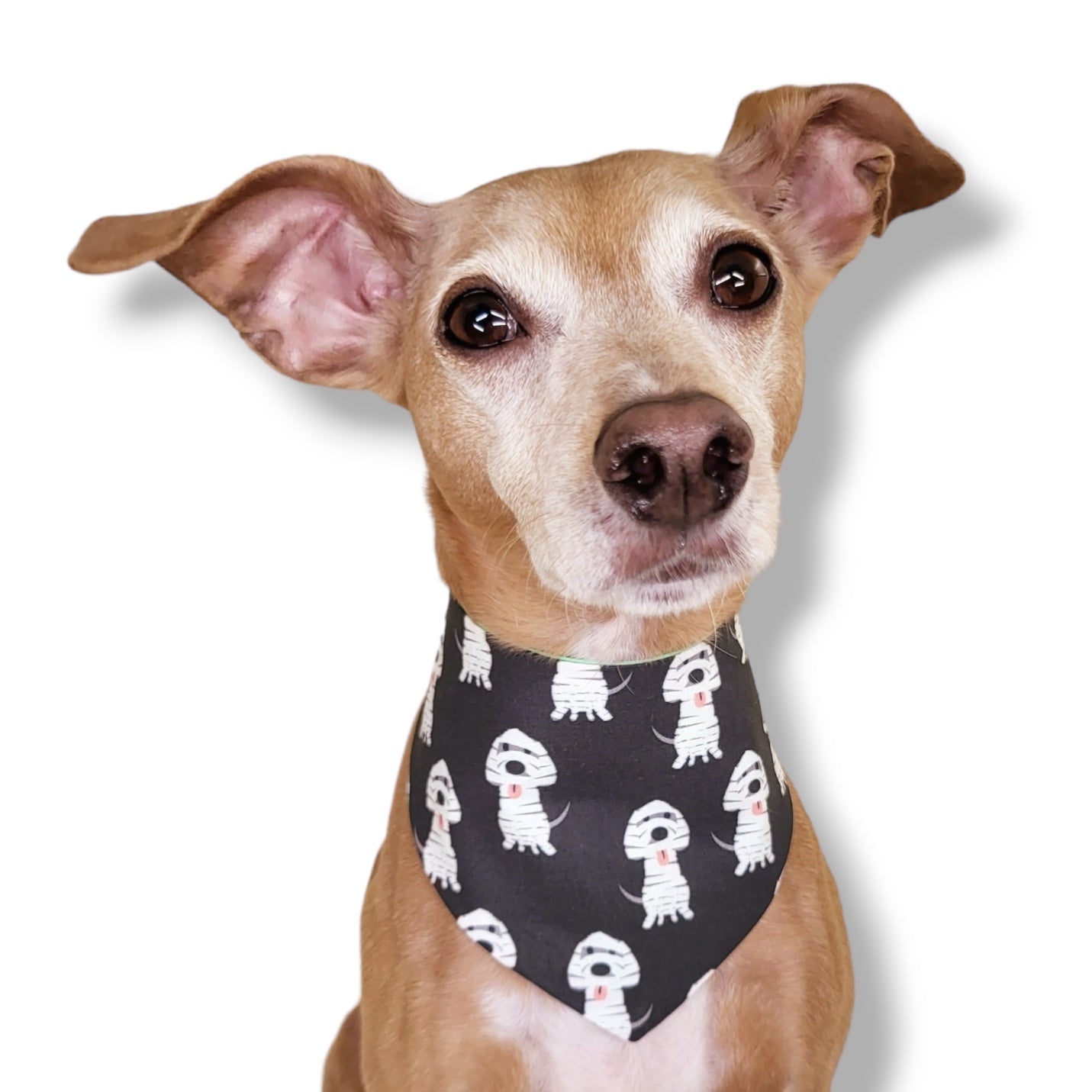 MUMMY DOGGOS - CLASSIC DOG BANDANA