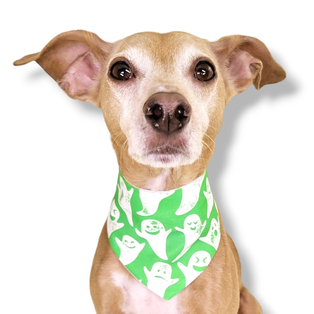 GREEN GHOSTS- CLASSIC DOG BANDANA
