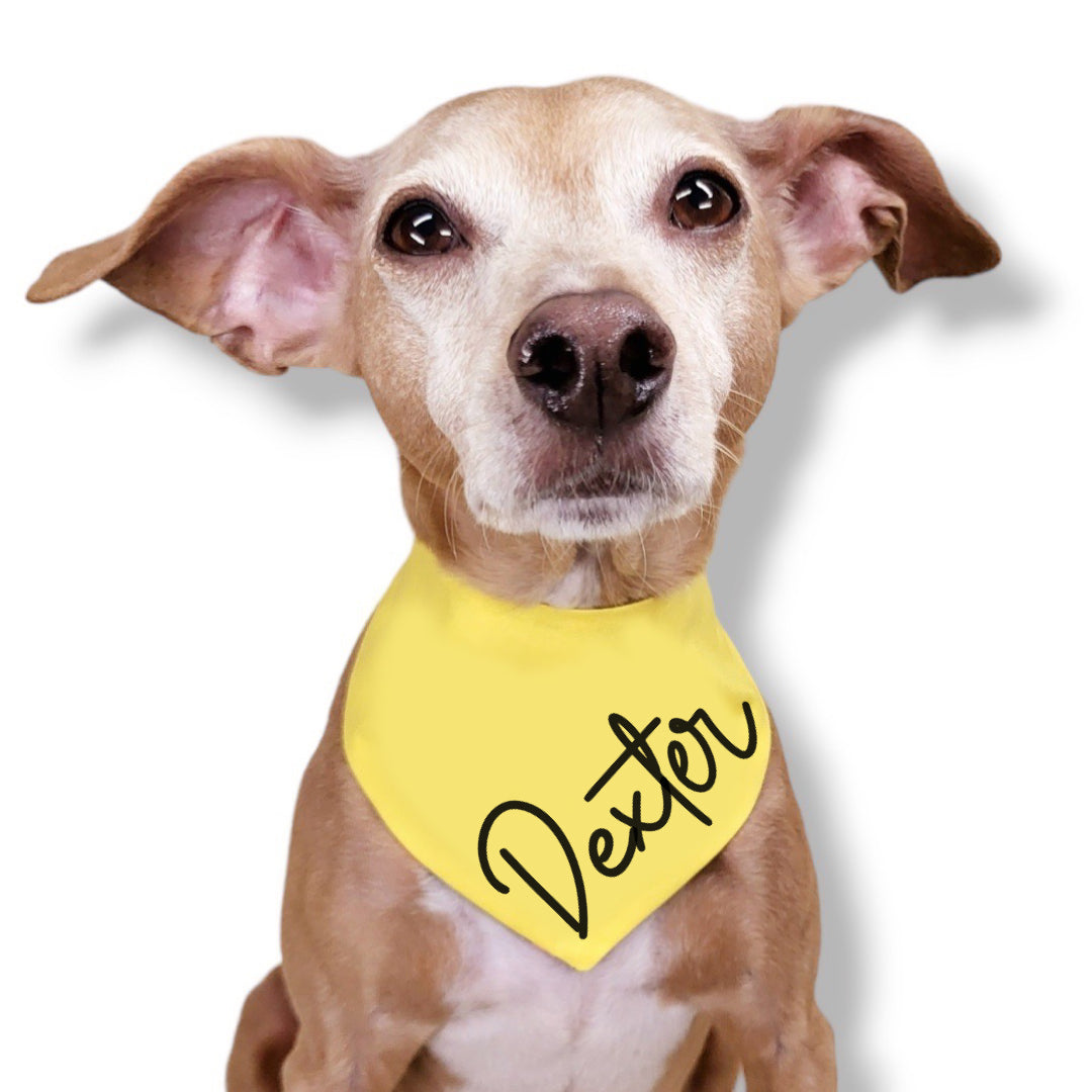 PERSONALIZED YELLOW - CLASSIC DOG BANDANA BY DAPPER DEXTER