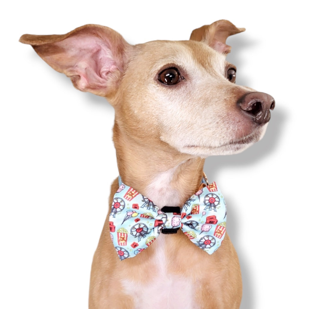 CARNIVAL - BOW TIE