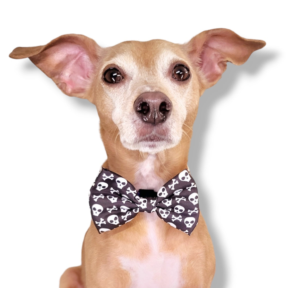 BAD TO THE BONE - BOW TIE