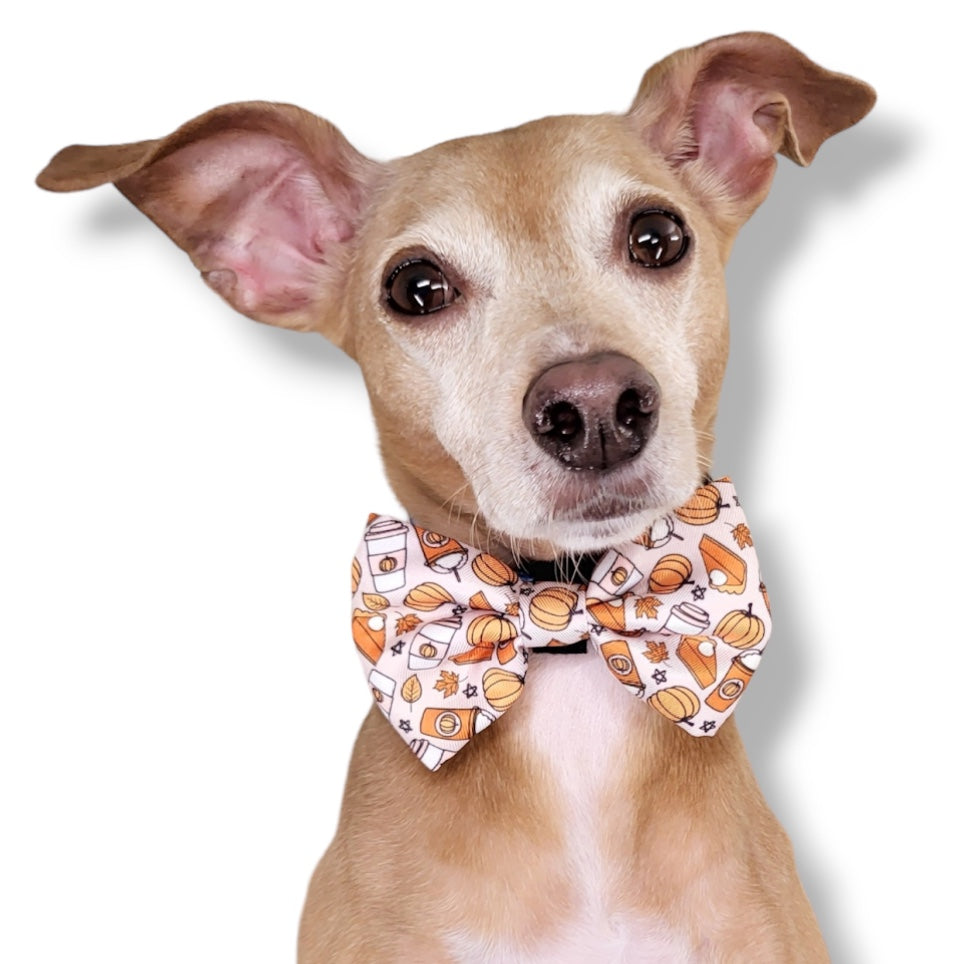 PUMPKIN SPICE - BOW TIE