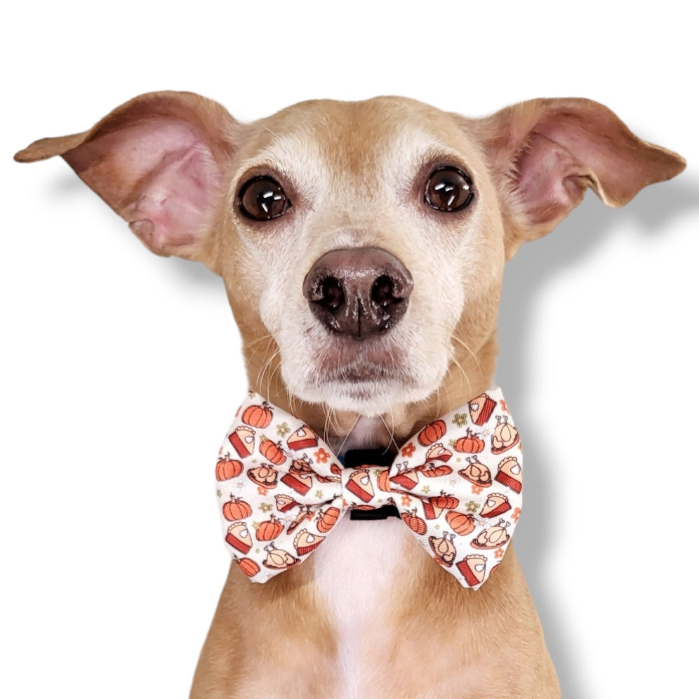 TURKEY DAY FEAST - BOW TIE