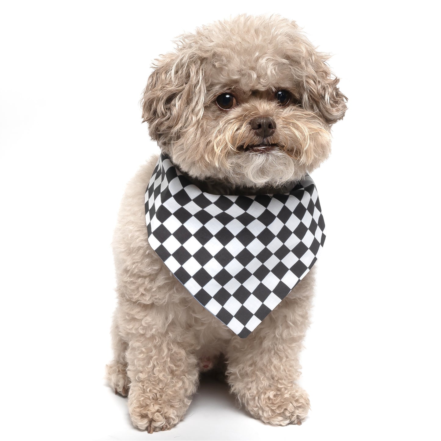 BLACK & WHITE CHECKERED - CLASSIC DOG BANDANA