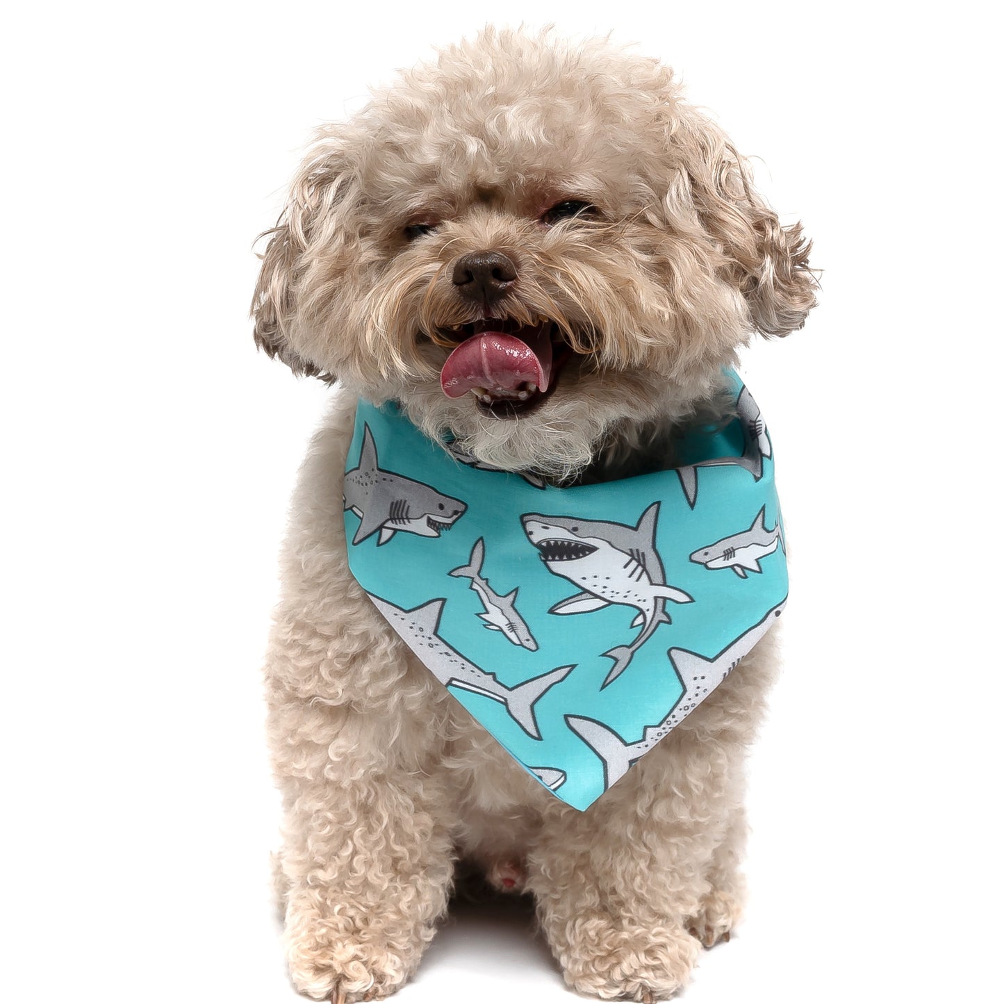 SHARKS - CLASSIC DOG BANDANA