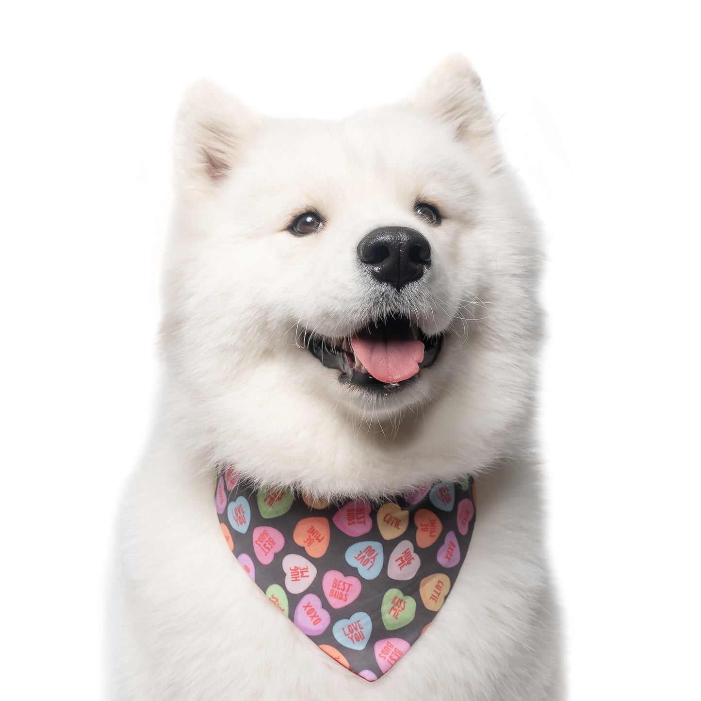CANDY HEARTS - CLASSIC DOG BANDANA