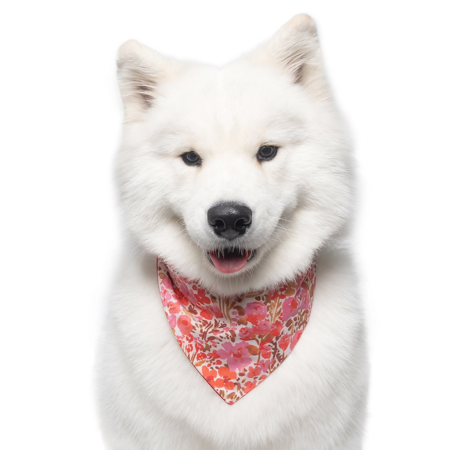 RED AND PINK FLORAL - CLASSIC DOG BANDANA