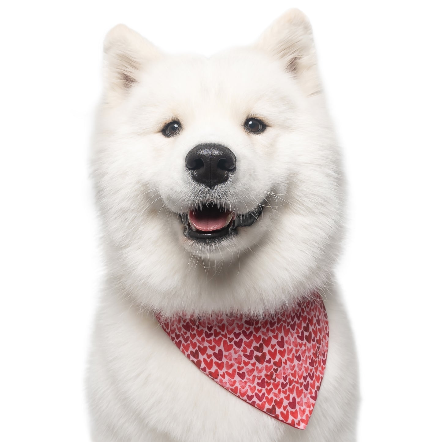 RED METALLIC HEARTS - CLASSIC DOG BANDANA