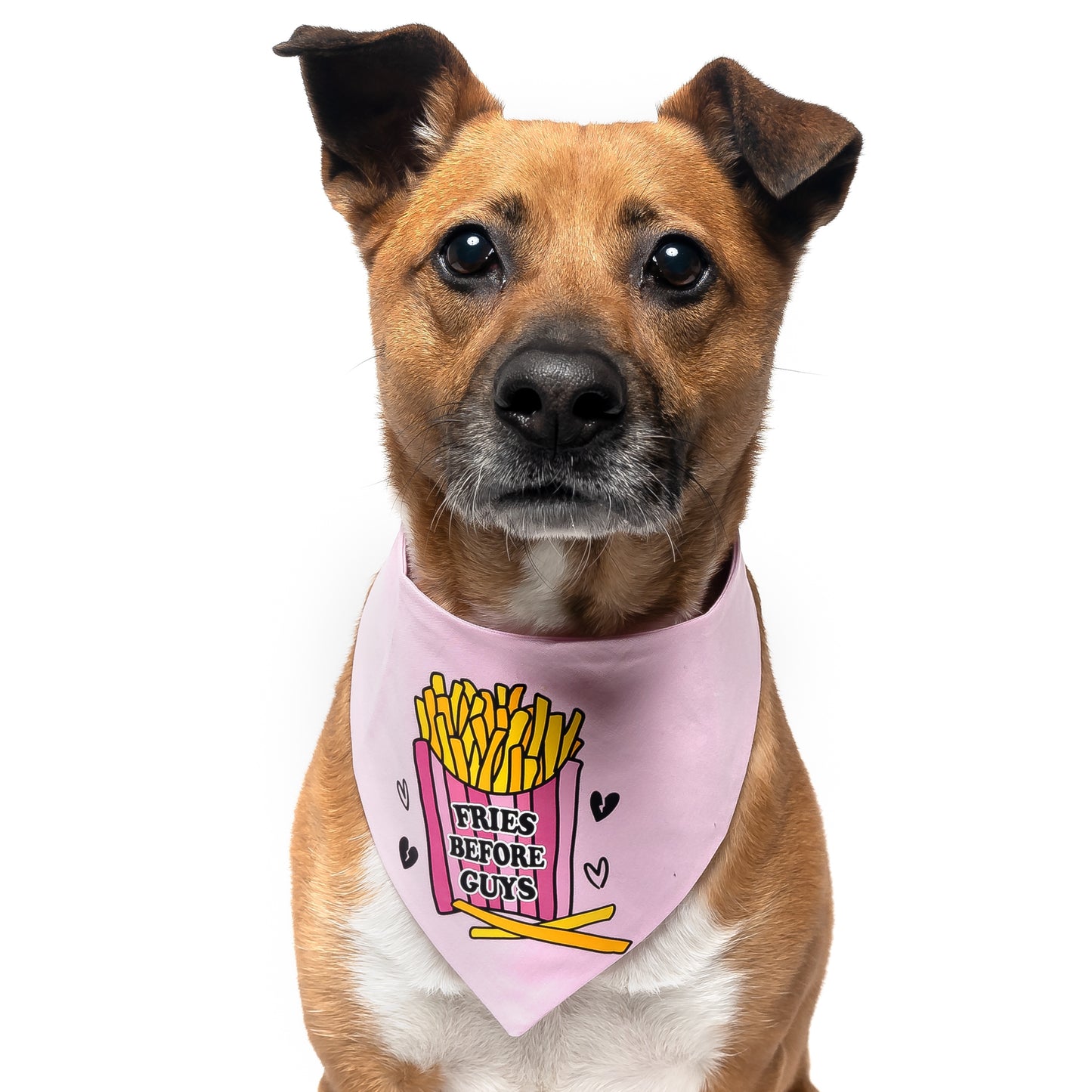 FRIES BEFORE GUYS - CLASSIC DOG BANDANA