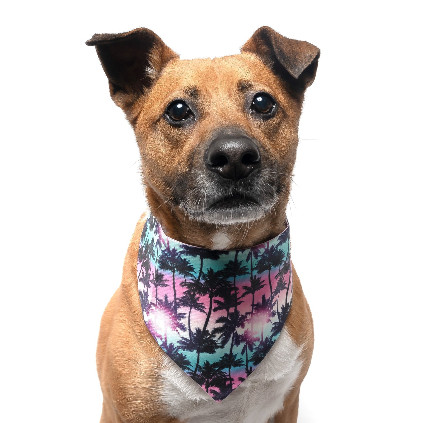 PALM TREES - CLASSIC DOG BANDANA