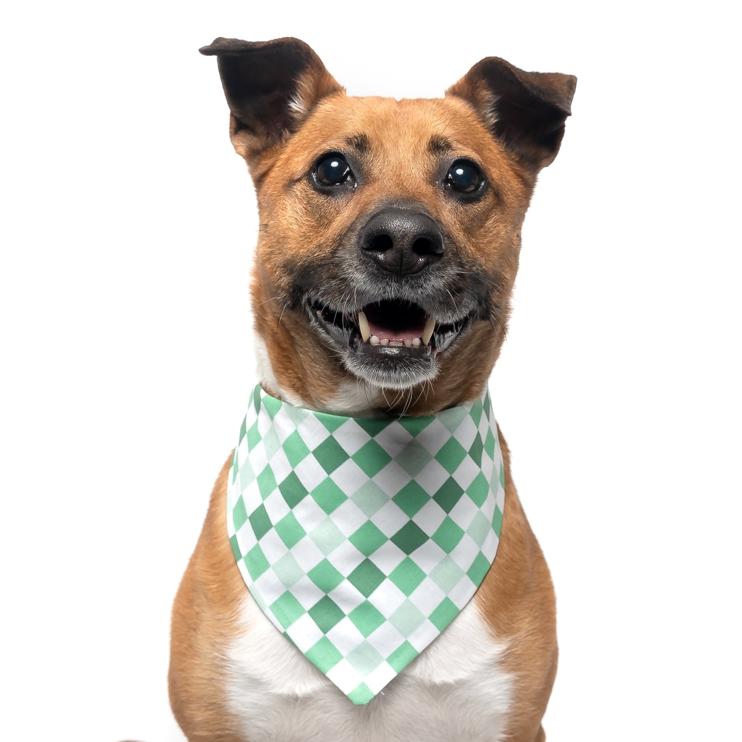 GREEN CHECKERED - CLASSIC DOG BANDANA