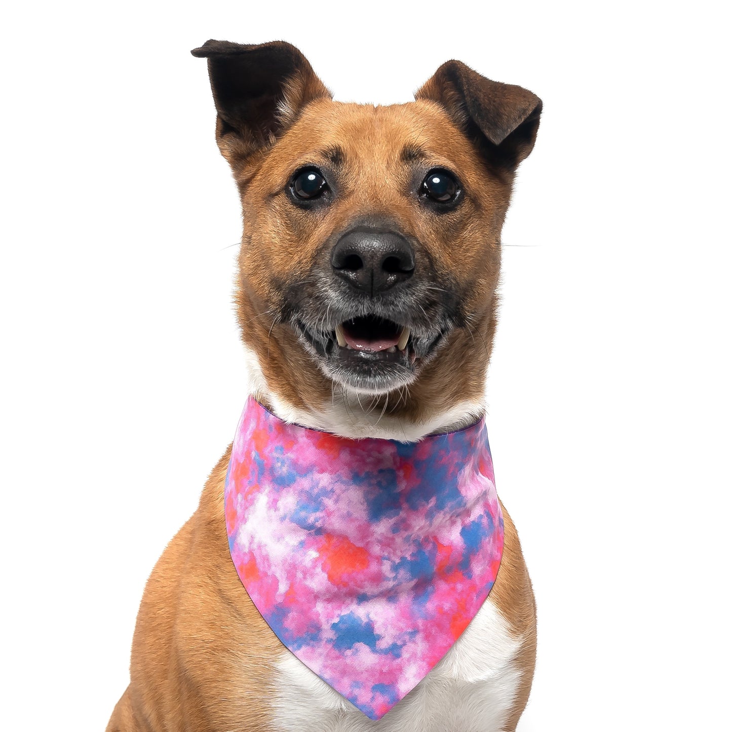 PINK & PURPLE TIE DYE - CLASSIC DOG BANDANA