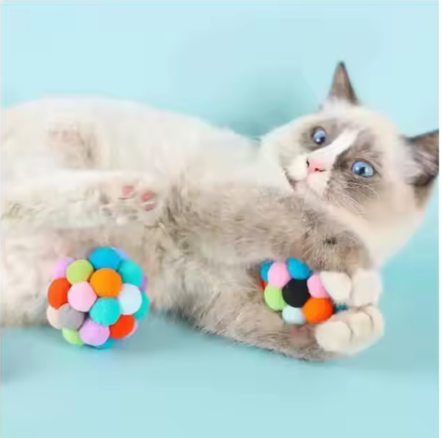 BALL CAT TOY