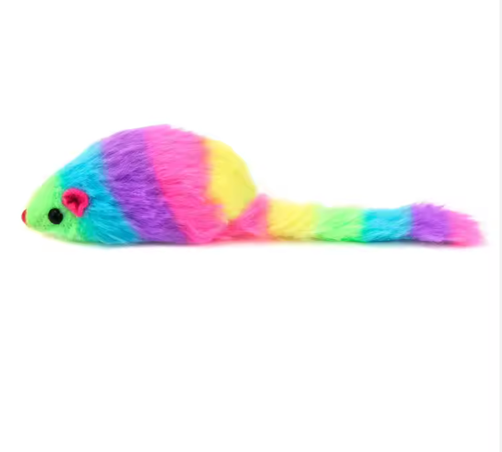 RAINBOW MOUSE CAT TOY