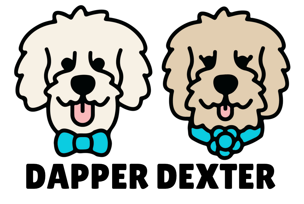 TACO - DOG COLLAR – Dapper Dexter