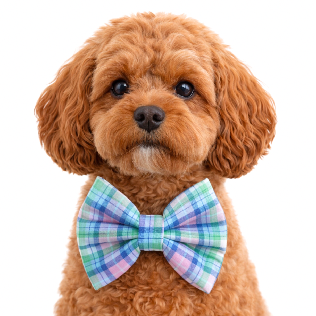 SPRING PLAID (LIGHT BLUE, PINK & GREEN) - DAPPER DEXTER DOG BOW TIE
