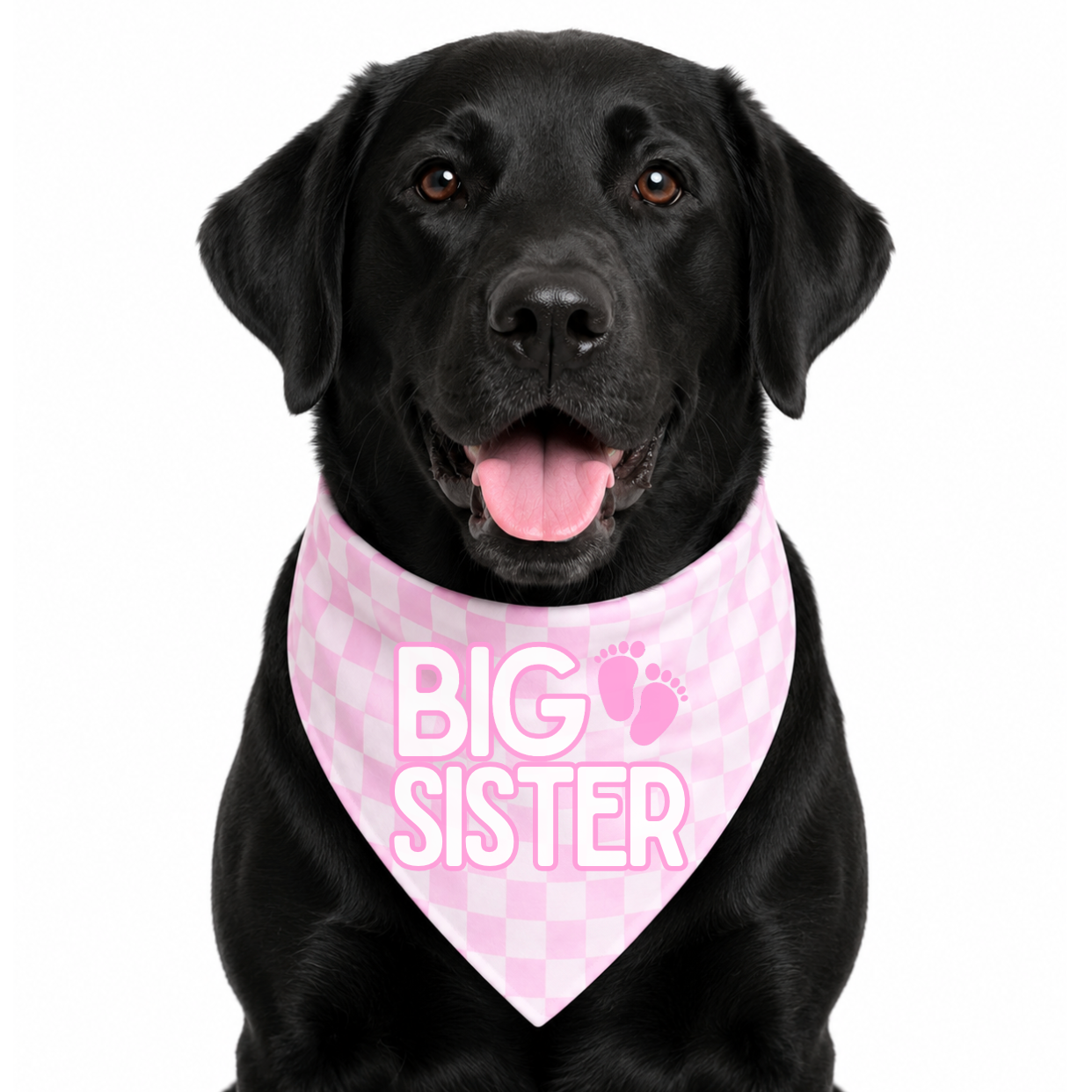 BIG SISTER - CLASSIC DOG BANDANA