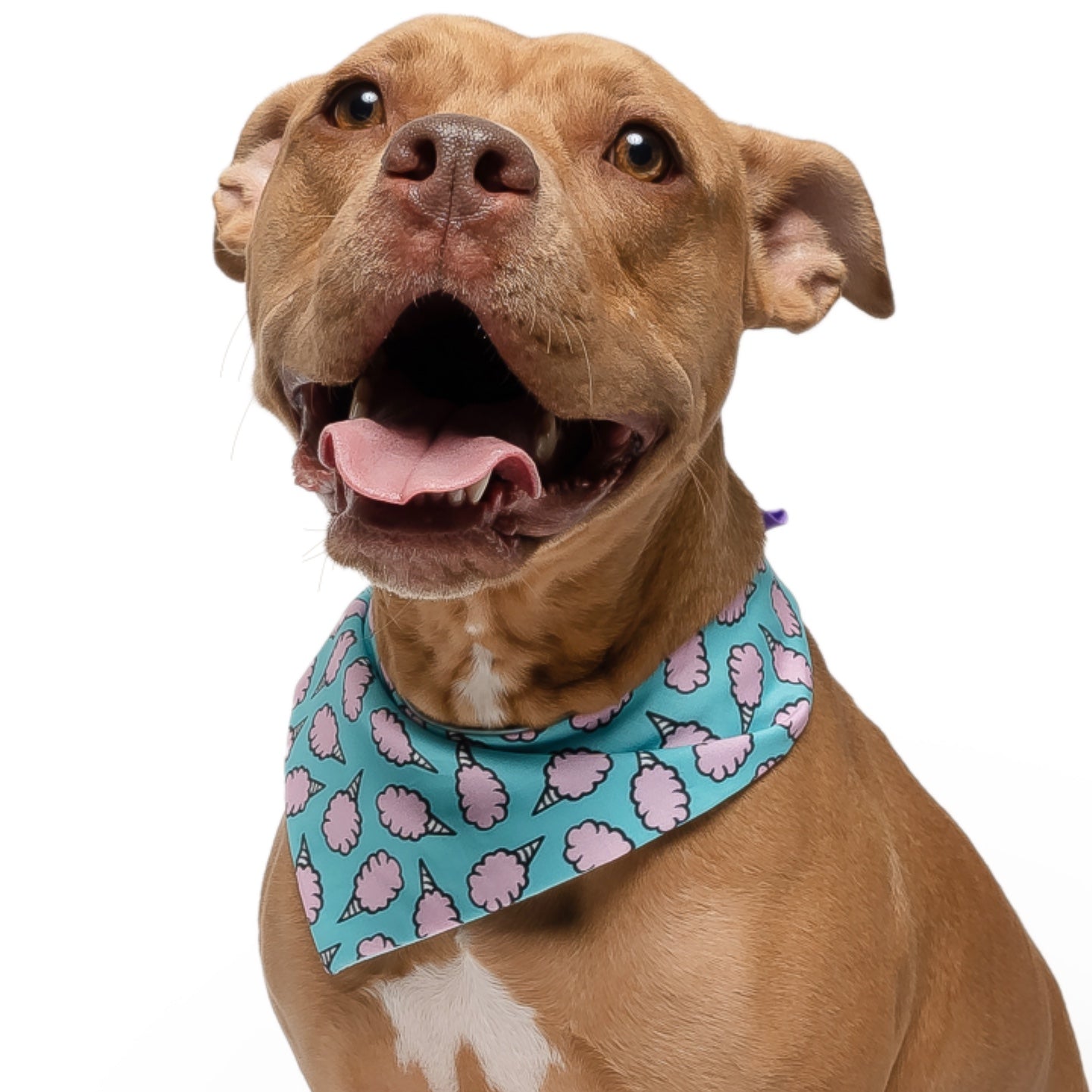 COTTON CANDY - CLASSIC DOG BANDANA