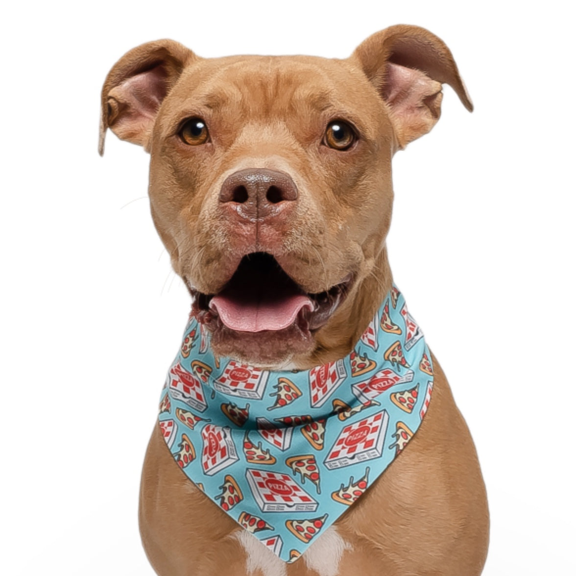 Pizza dog clearance bandana