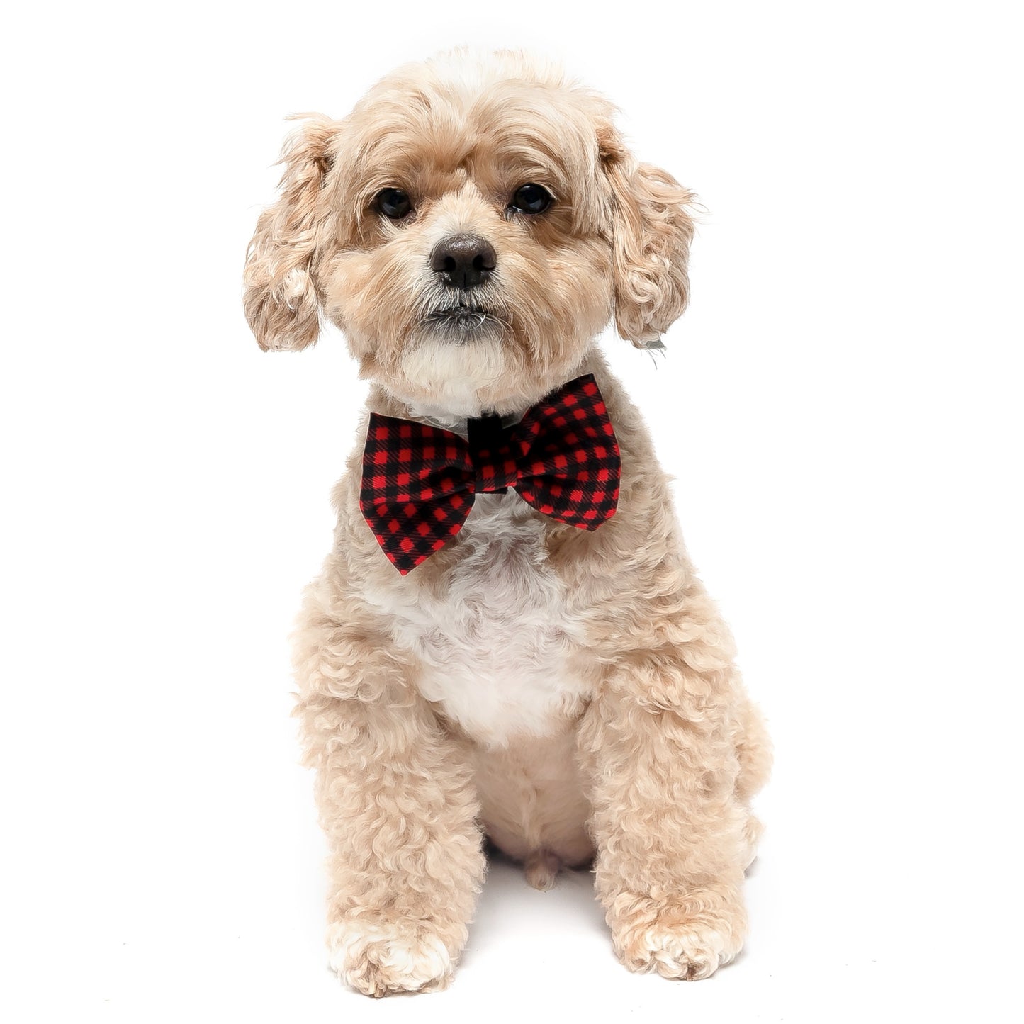 BUFFALO PLAID - BOW TIE