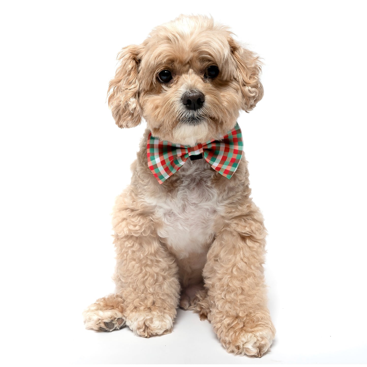 RED, GREEN AND WHITE PLAID - BOW TIE