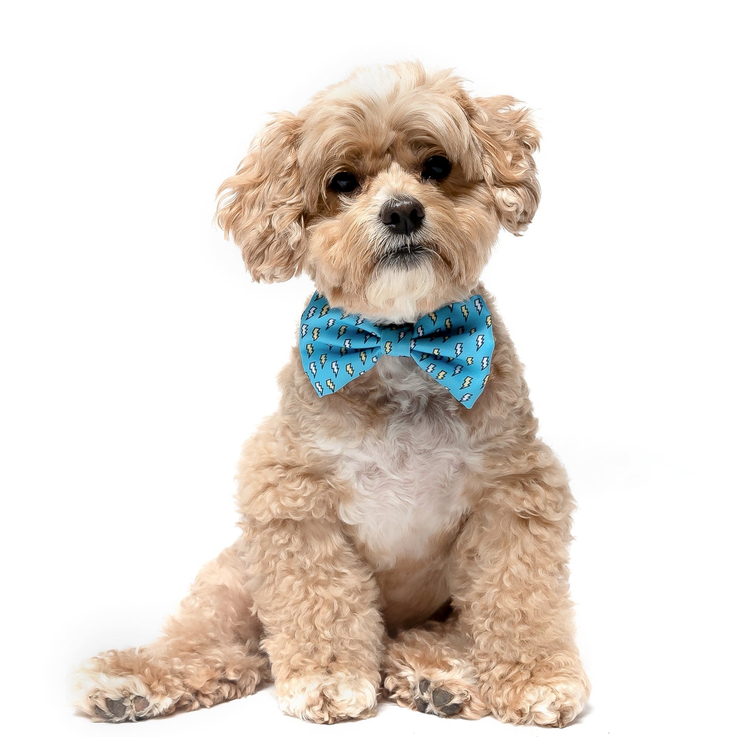 LIGHTENING BOLTS - BOW TIE