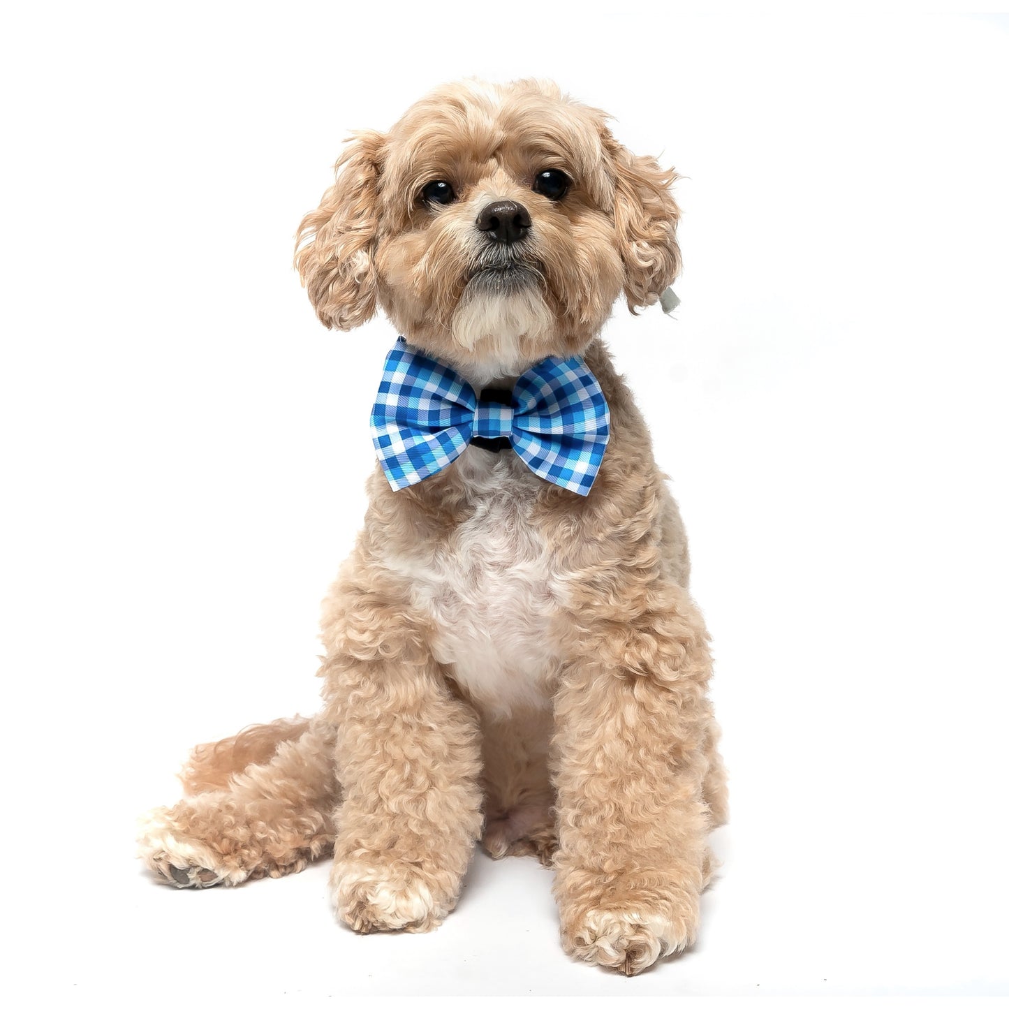 BLUE PLAID - BOW TIE