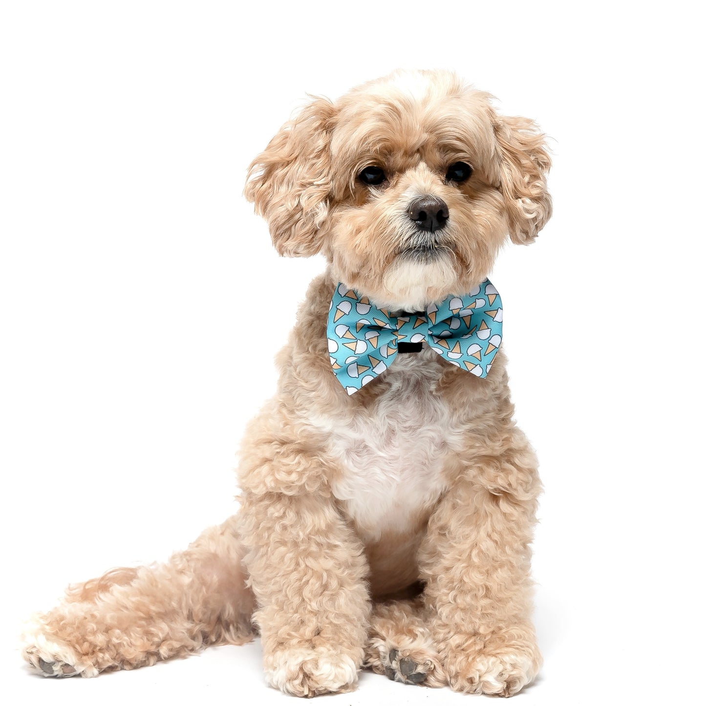 ICE CREAM- BOW TIE