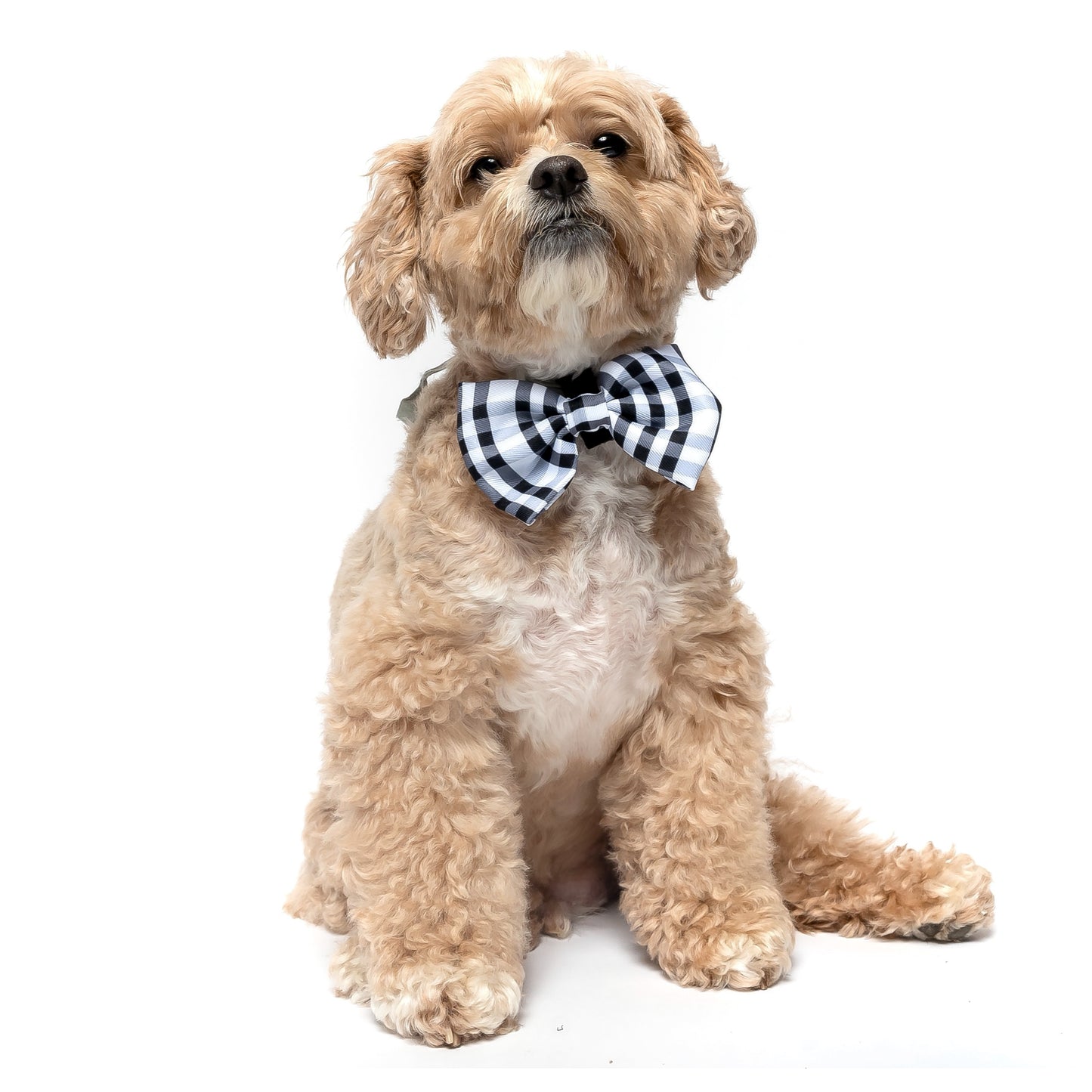 BLACK AND WHITE CHECKERED PLAID - BOW TIE