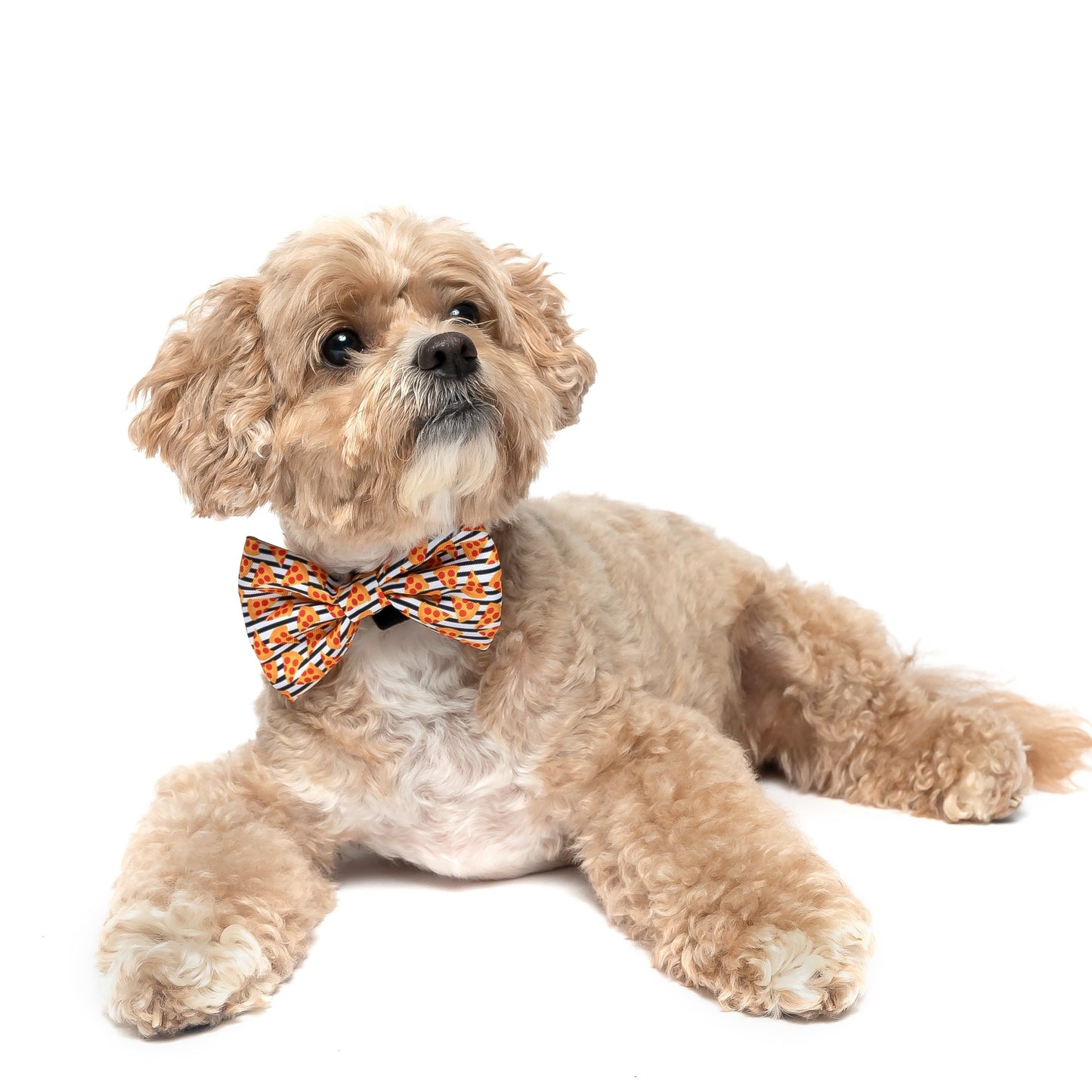 PIZZA WITH STRIPES - BOW TIE