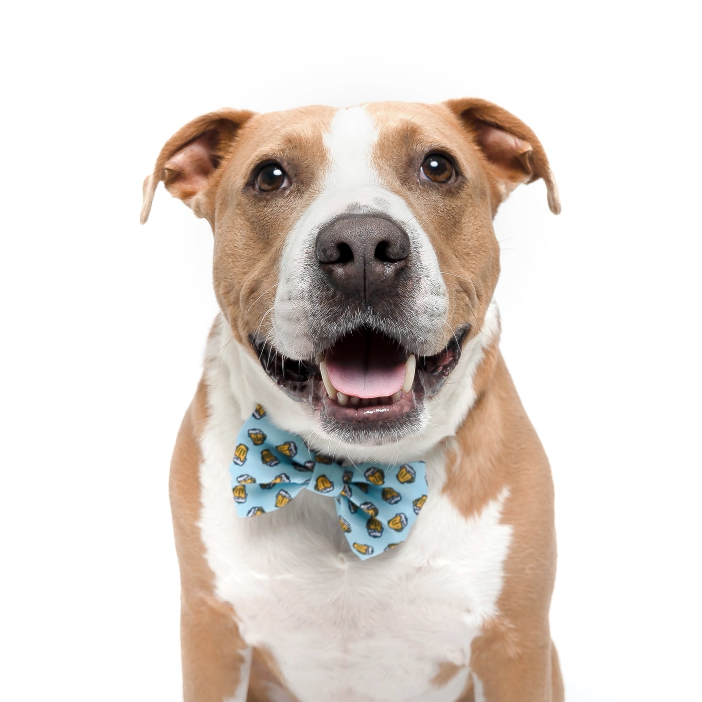BEER - BOW TIE