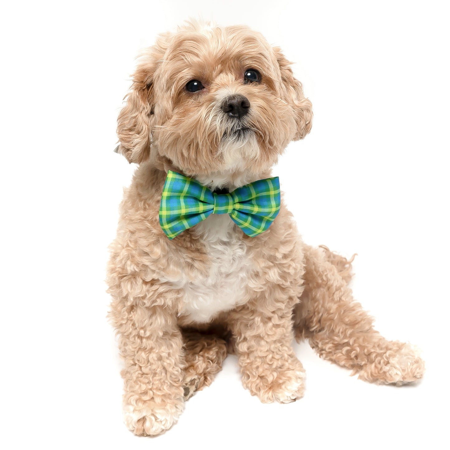 LIME PLAID - BOW TIE