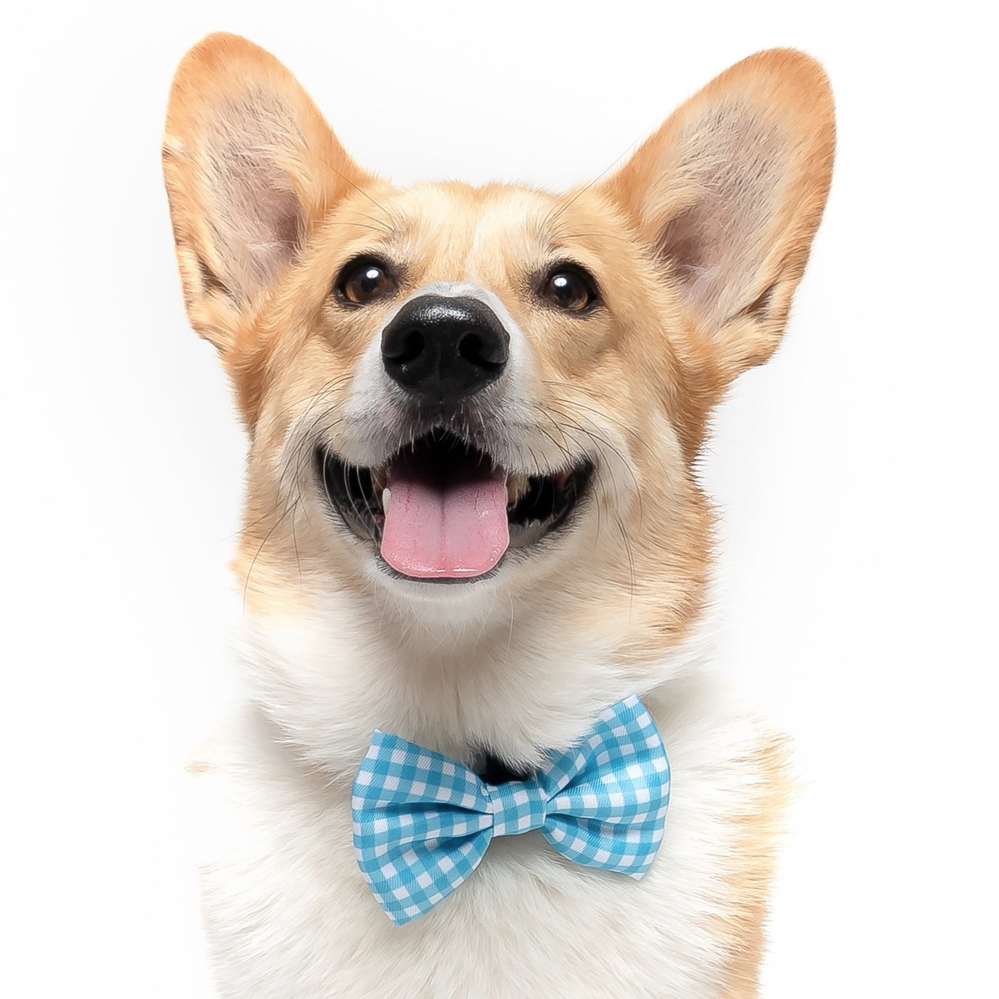 LIGHT BLUE GINGHAM - BOW TIE