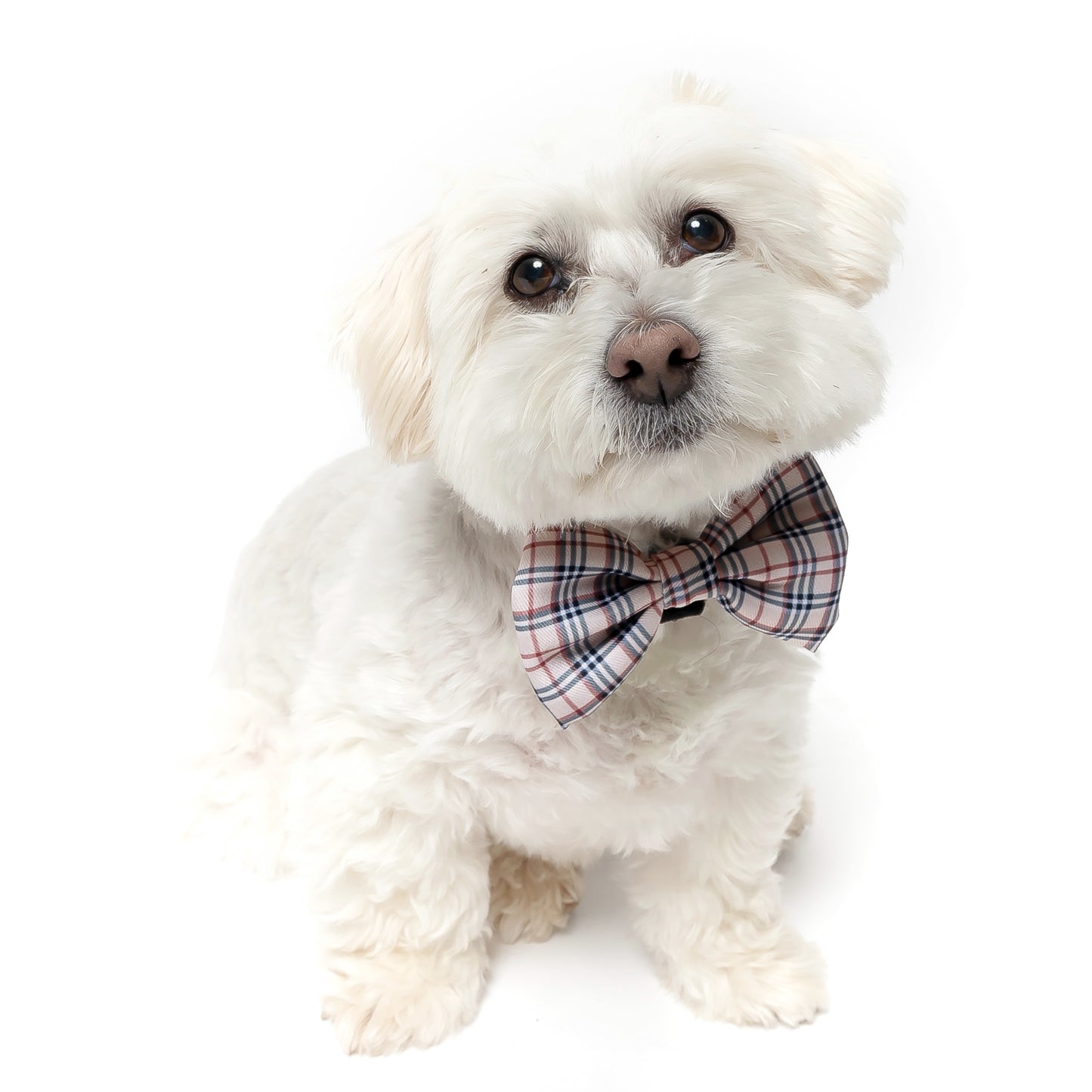 TAN PLAID - BOW TIE