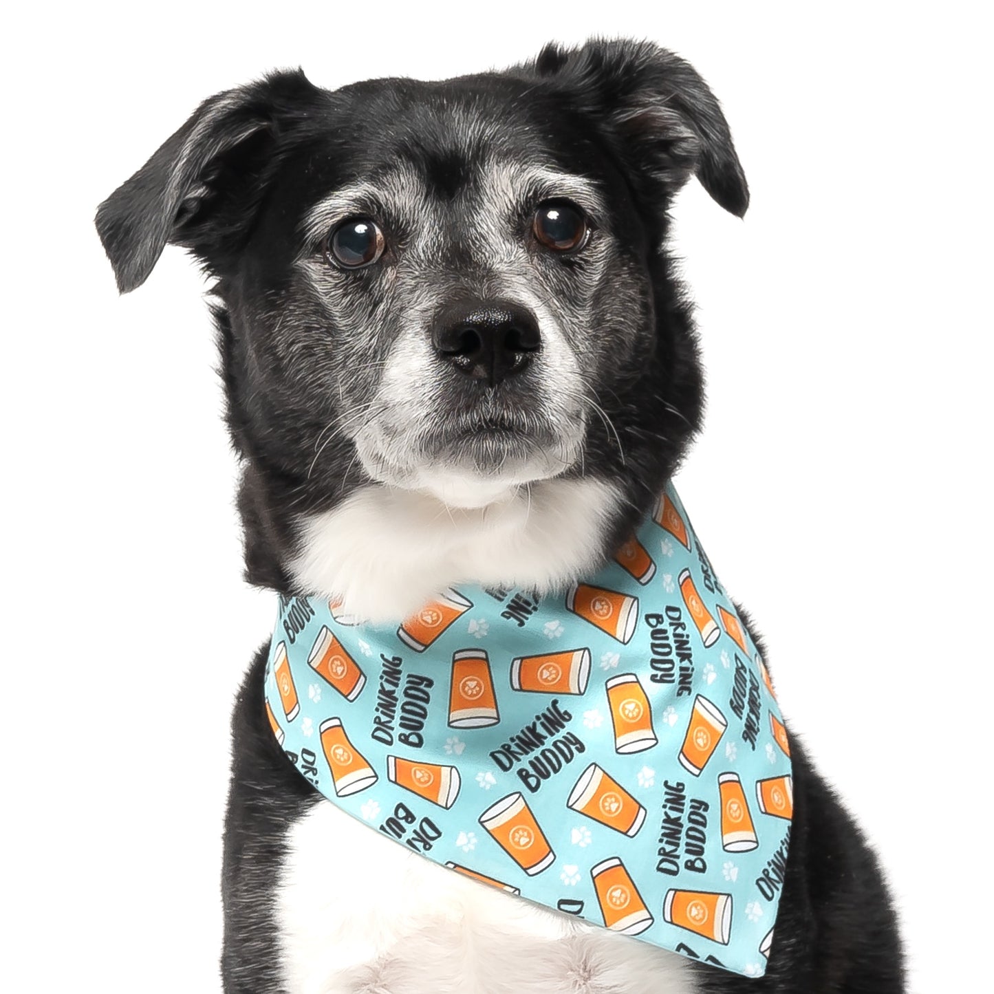 DRINKING BUDDY- CLASSIC DOG BANDANA