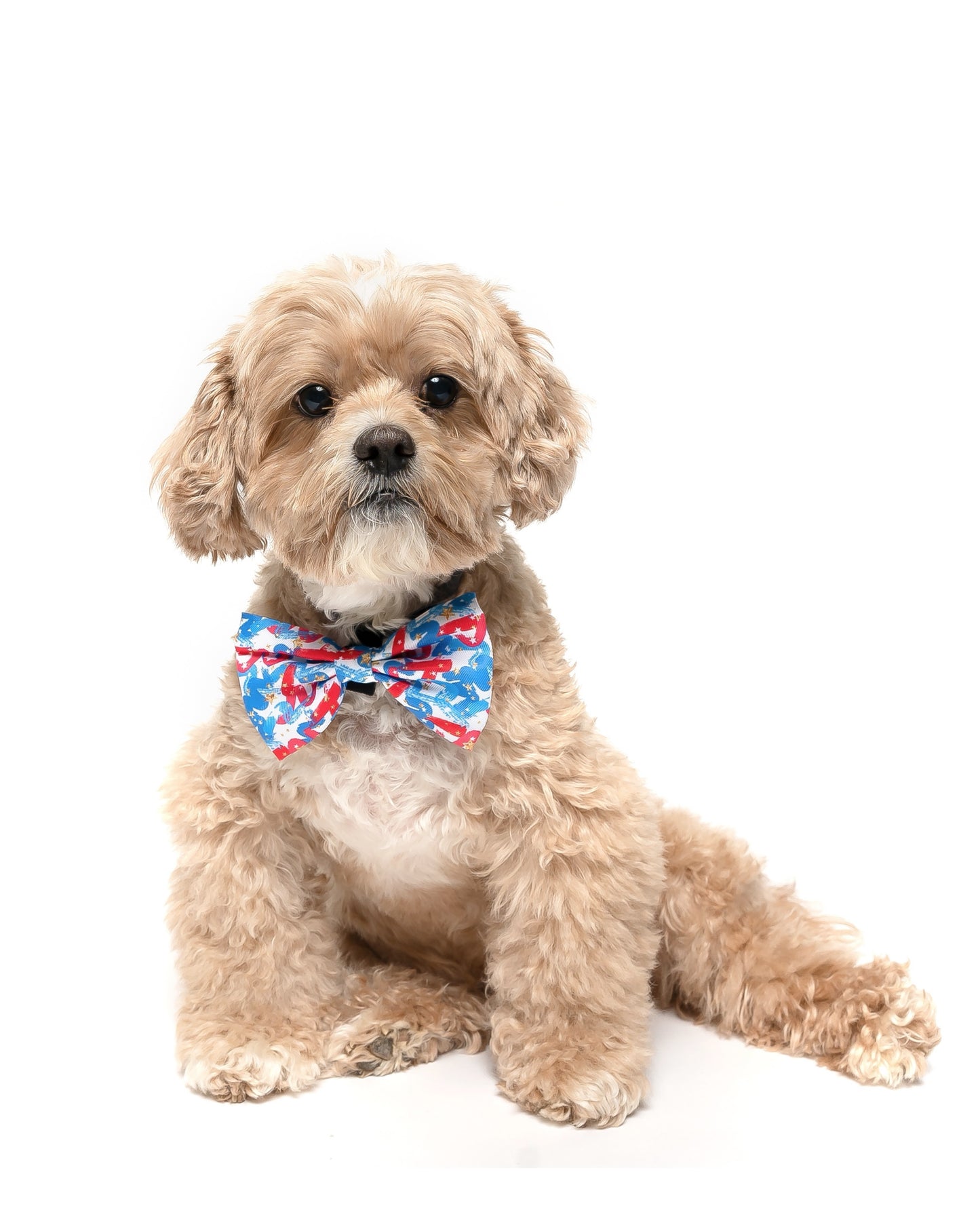 RED, WHITE & BLUE SWIRLS - BOW TIE