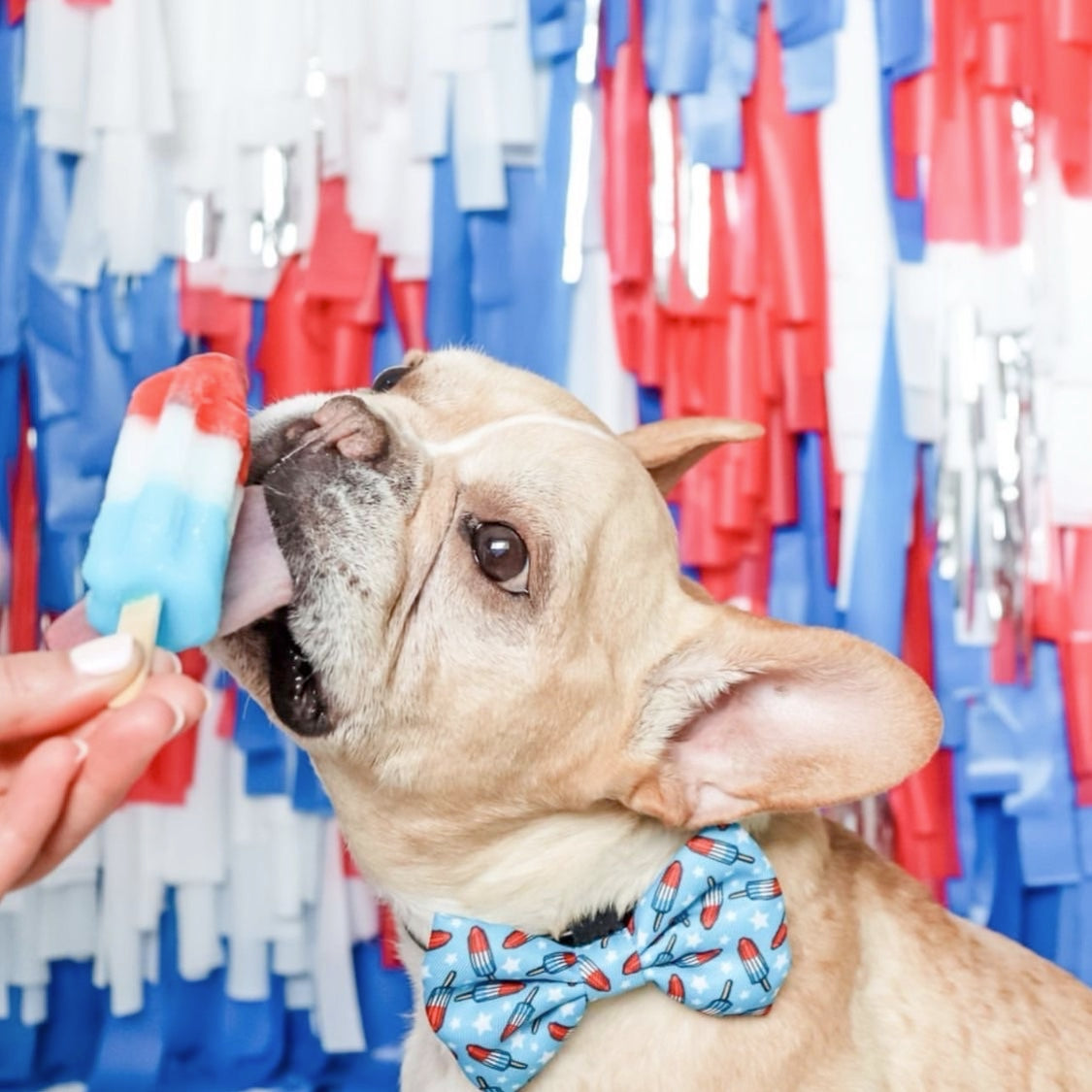 ROCKET POPS - BOW TIE