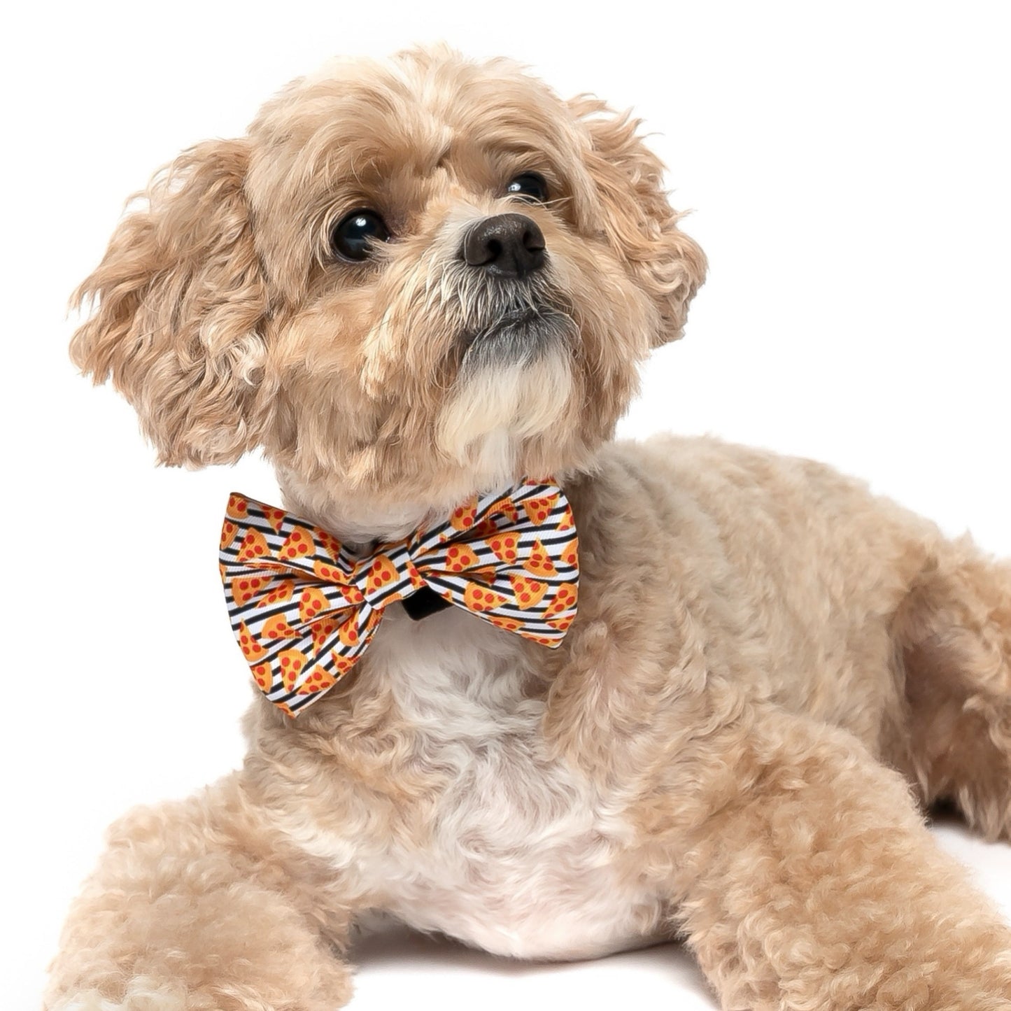 PIZZA WITH STRIPES - BOW TIE